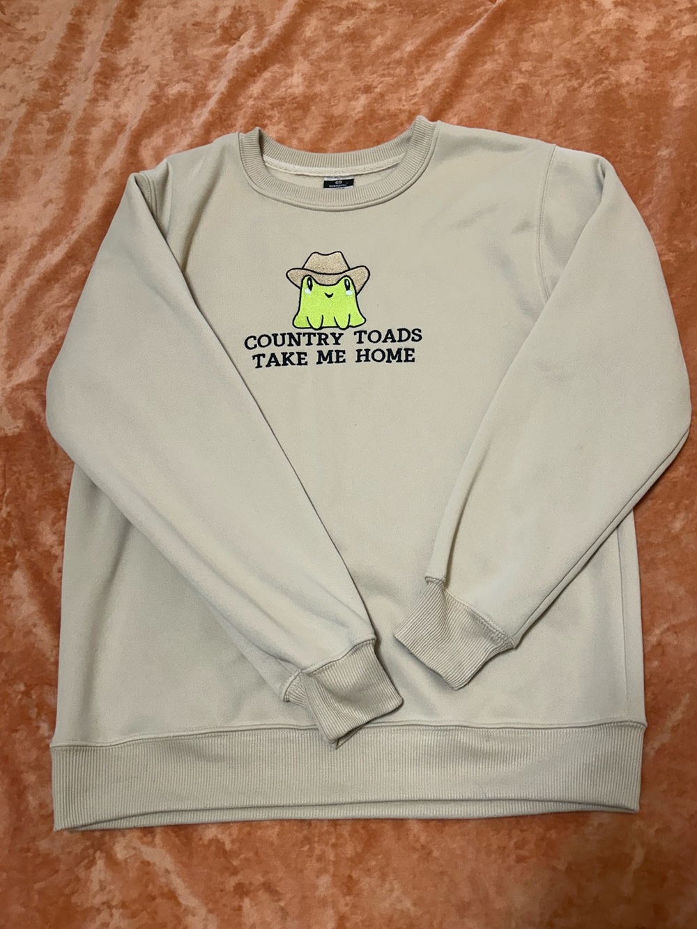 "Country Toads Take Me Home" Embroidered Crewneck Sweatshirt - Tan/Khaki, Size M
